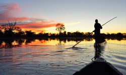 Okavango Delta