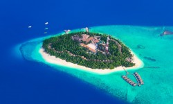 Suspendisse arcu nisl